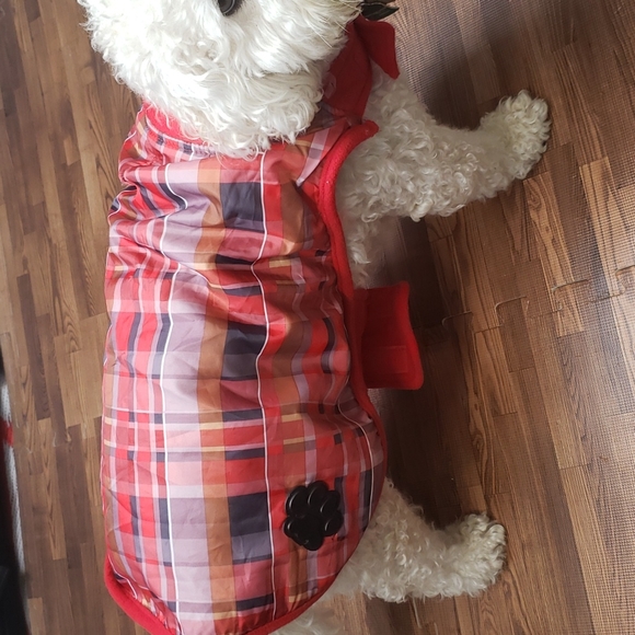 Bailey & Bella doggy Coat size S/M - Picture 2 of 13